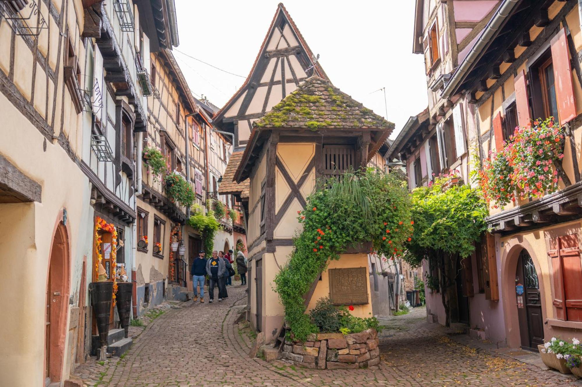 Chambre Rose Des Vents Eguisheim Exterior foto