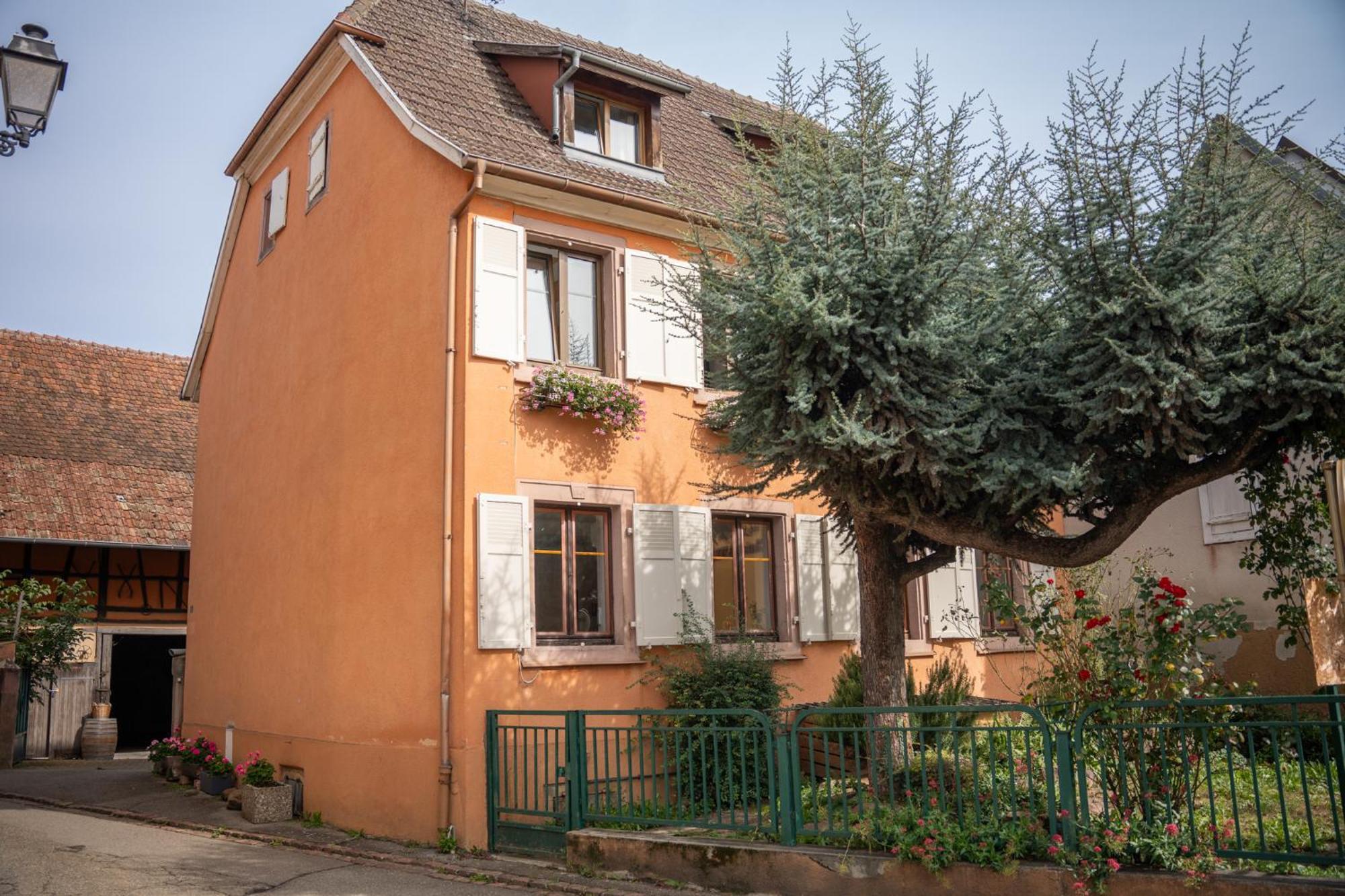 Chambre Rose Des Vents Eguisheim Exterior foto